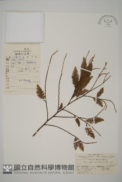 Accession Number:G000290 Collection Image, Figure 1, Total 4 Figures