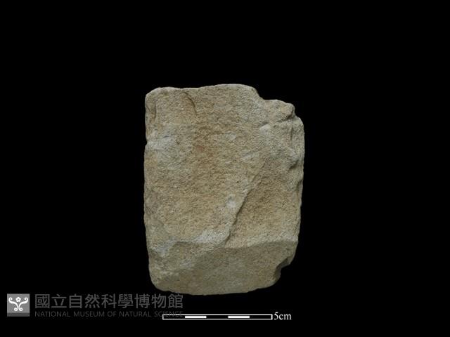 錛鑿形器藏品圖，第1張