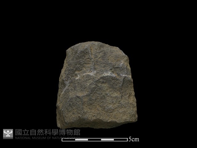 斧鋤形器藏品圖，第1張
