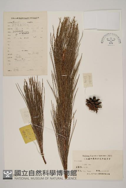 登錄號:G000391藏品圖，第1張