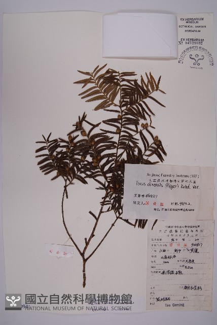 登錄號:G000941藏品圖，第1張