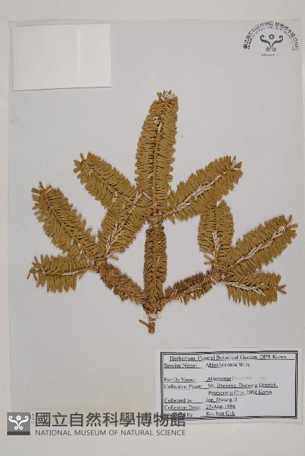 登錄號:G001111藏品圖，第1張