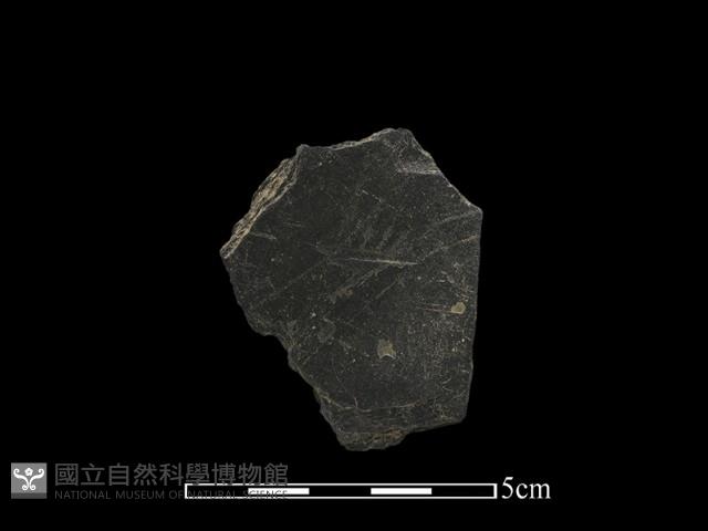 帶加工痕石材藏品圖，第1張