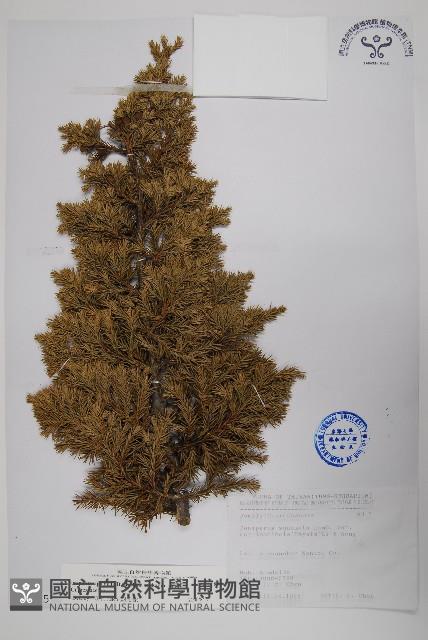 香青藏品圖，第1張