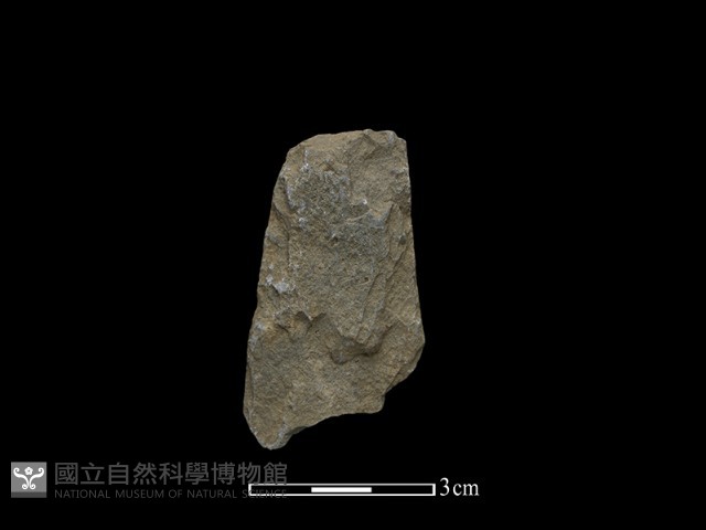 斧鋤形器藏品圖，第1張