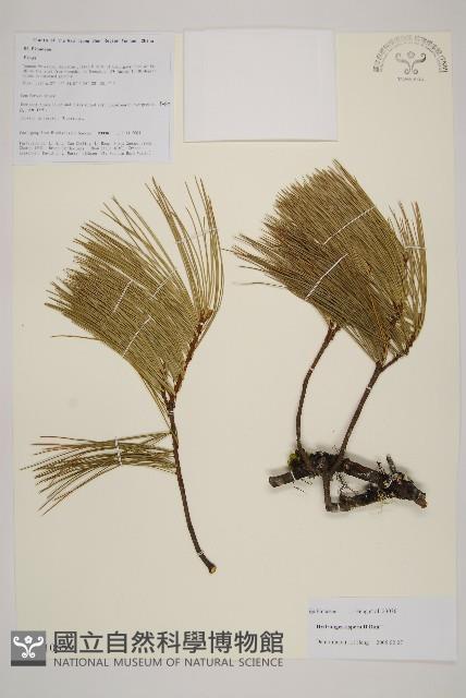 登錄號:G001065藏品圖，第1張