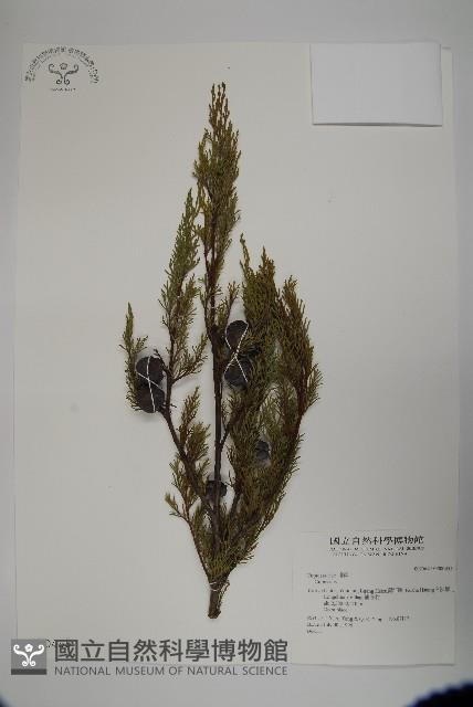 登錄號:G000455藏品圖，第1張