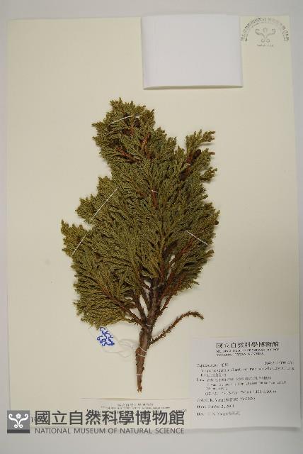 香青藏品圖，第1張