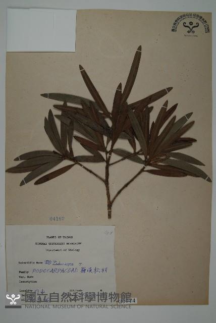 登錄號:G000774藏品圖，第1張