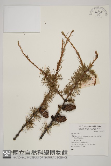 登錄號:G000804藏品圖，第1張