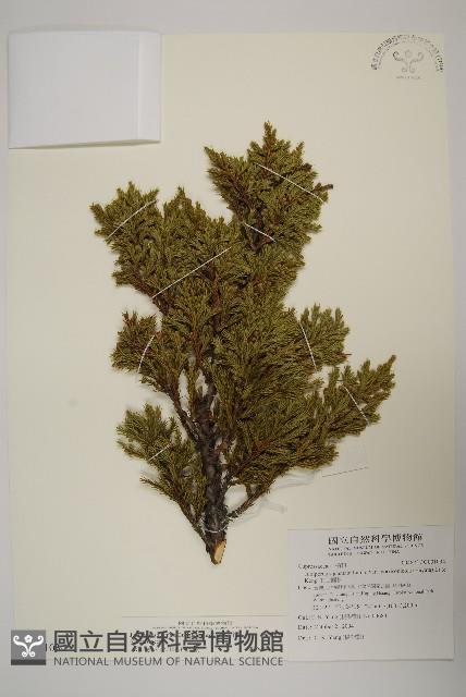 香青藏品圖，第1張