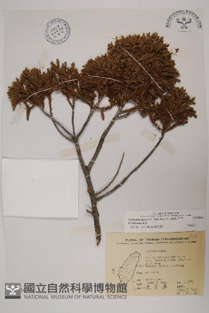 香青藏品圖，第1張