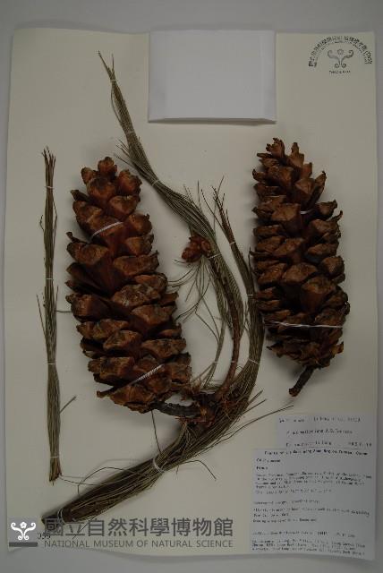 登錄號:G001059藏品圖，第1張