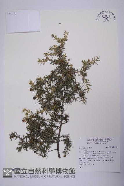 登錄號:G001119藏品圖，第1張