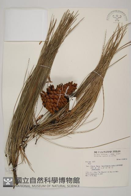 登錄號:G000268藏品圖，第1張