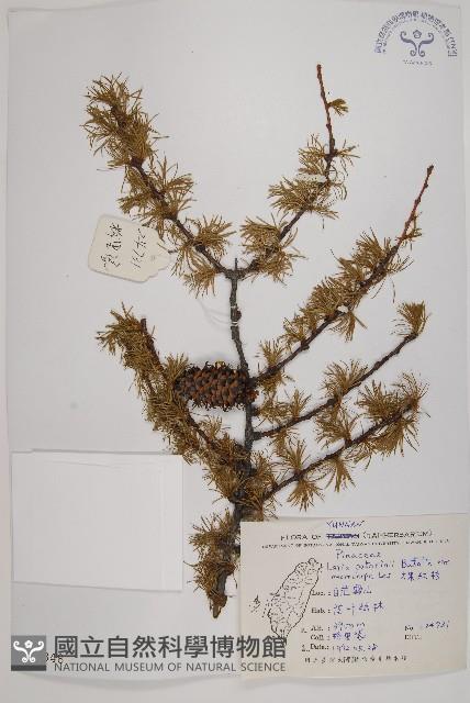 Accession Number:G000348 Collection Image, Figure 1, Total 5 Figures