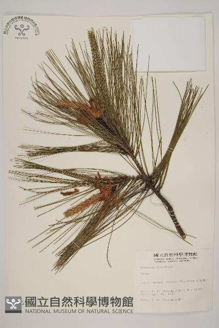 登錄號:G000158藏品圖，第1張