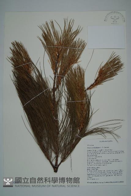 登錄號:G001008藏品圖，第1張