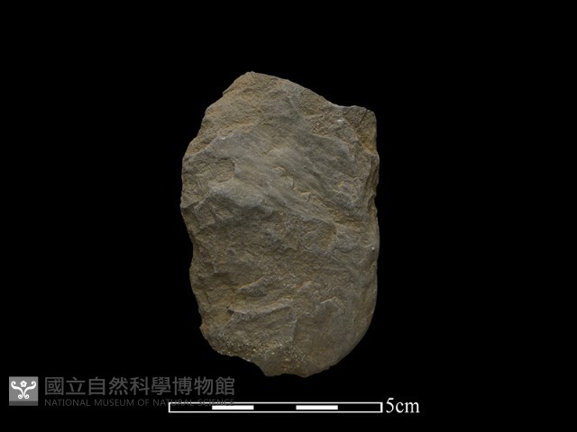 斧鋤形器藏品圖，第2張