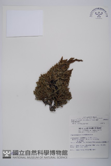 香青藏品圖，第1張
