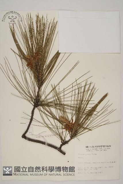 登錄號:G000157藏品圖，第1張