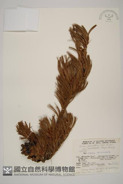 登錄號:G000557藏品圖，第1張