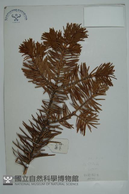 登錄號:G000357藏品圖，第1張