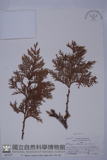 登錄號:G000317藏品圖，第1張