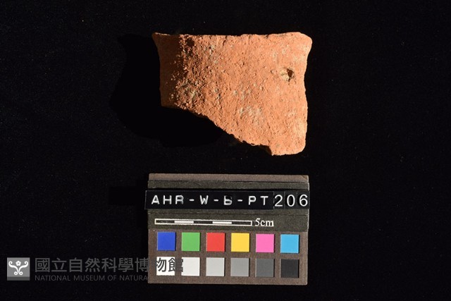 陶片藏品圖，第3張