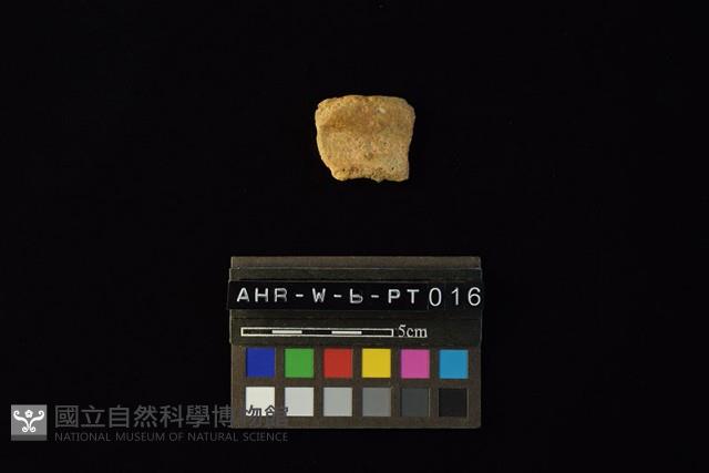 陶罐藏品圖，第3張