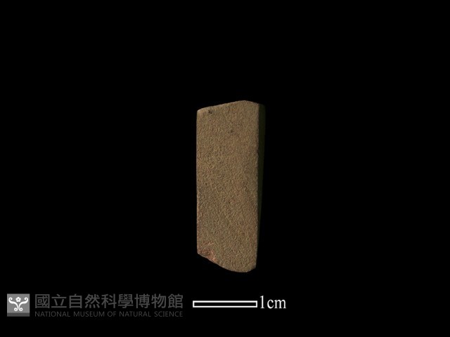 錛鑿形器藏品圖，第3張