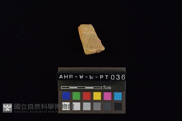 陶罐藏品圖，第3張