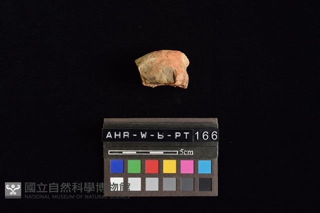 陶把藏品圖，第3張
