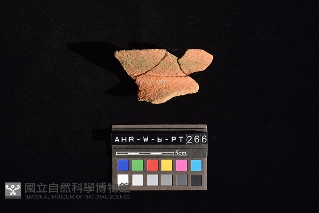 陶罐藏品圖，第3張