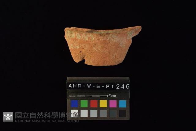 陶片藏品圖，第3張