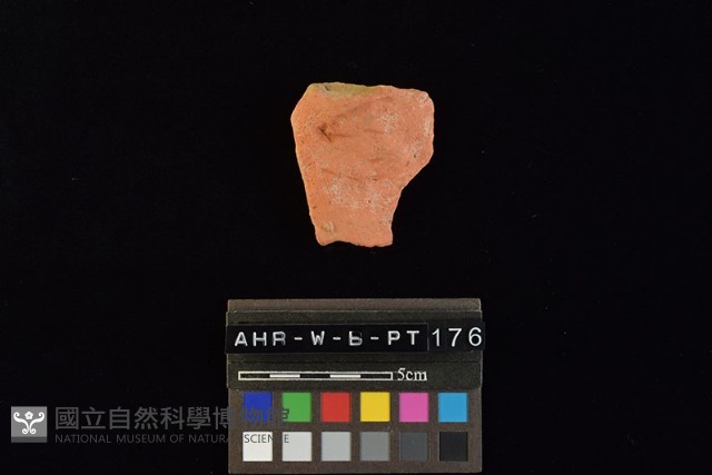 陶片藏品圖，第3張