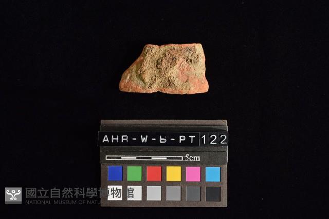 陶片藏品圖，第3張