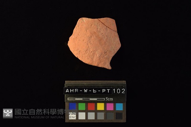 陶片藏品圖，第4張