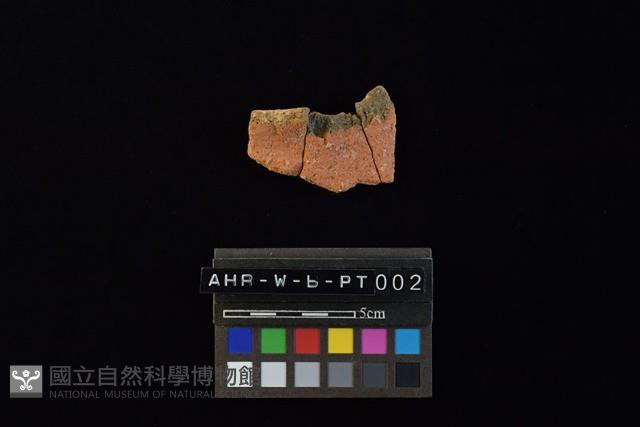 陶罐藏品圖，第3張