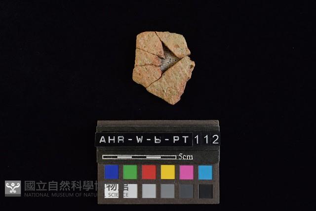 陶片藏品圖，第3張