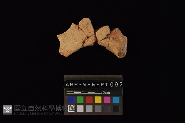 連杯形器藏品圖，第1張