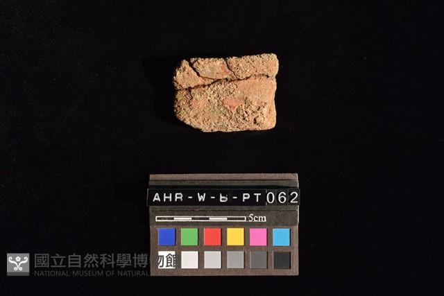 陶片藏品圖，第3張