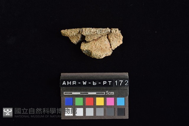陶罐藏品圖，第4張