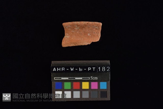 陶片藏品圖，第4張