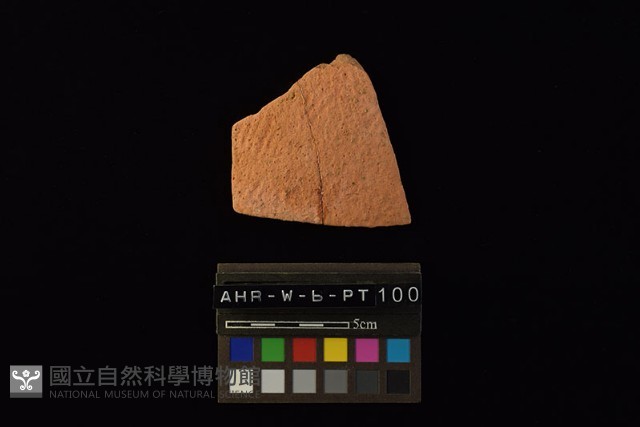 陶片藏品圖，第3張