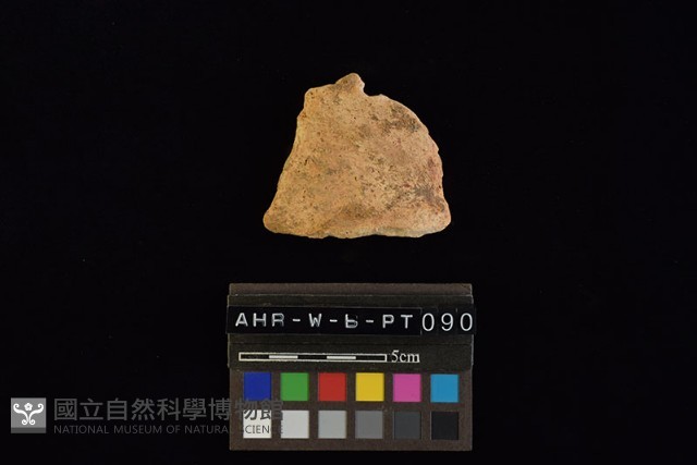 陶片藏品圖，第3張