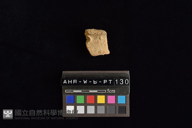陶片藏品圖，第4張