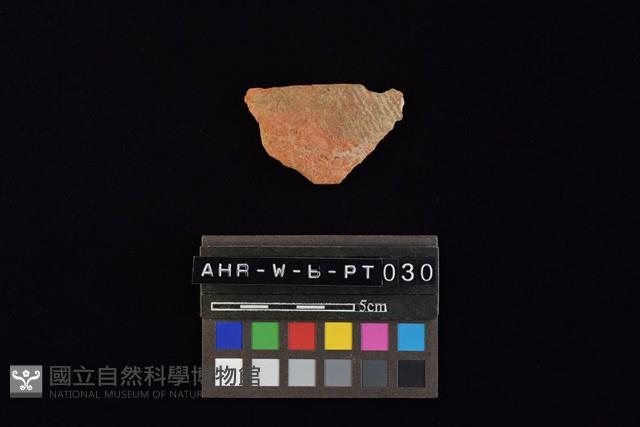 陶片藏品圖，第4張