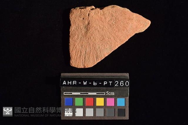 陶片藏品圖，第3張