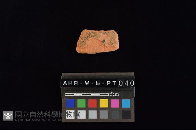 陶片藏品圖，第4張